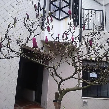 Feel At Casa Da Musica / Boavista *